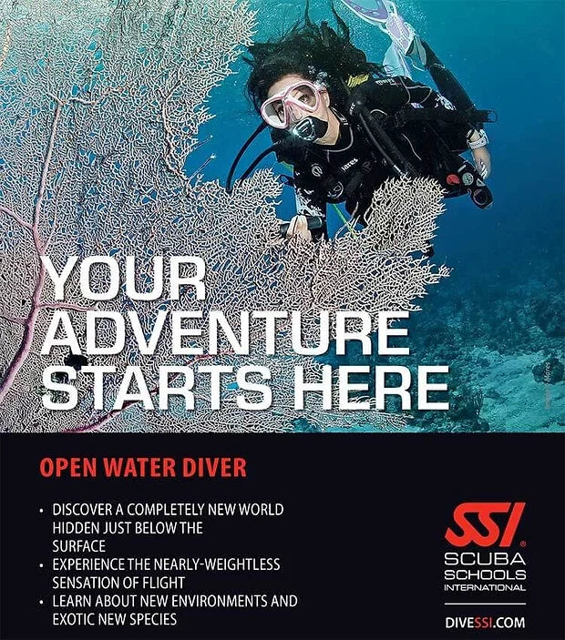 SSI Open Water Diver Dive Course